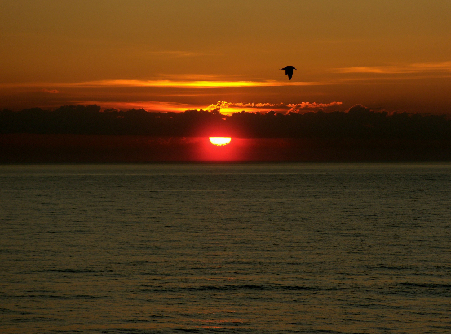 Lønstrup Mai 2012 ;Sonnenuntergang gesehen von Harrerenden