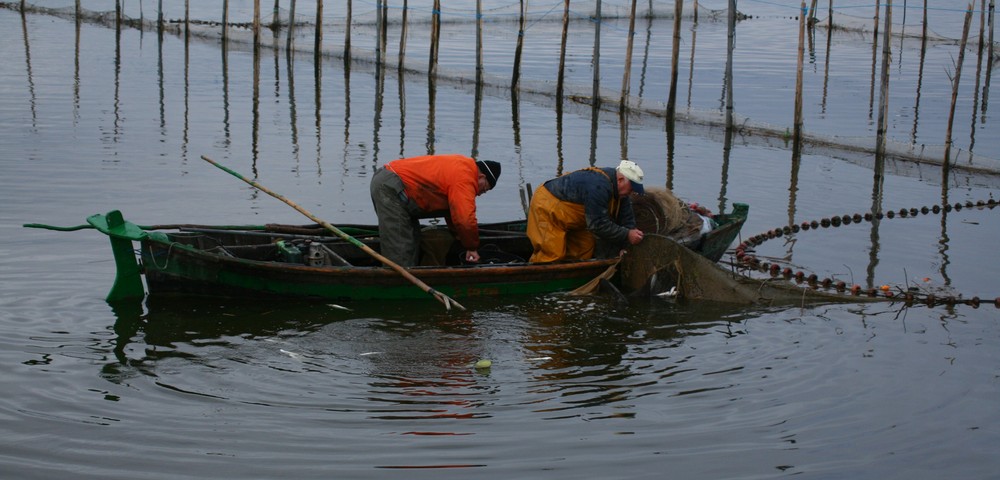 Lo que cuesta el pescado