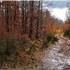 Lo que queda del otoño en Piedrasluengas