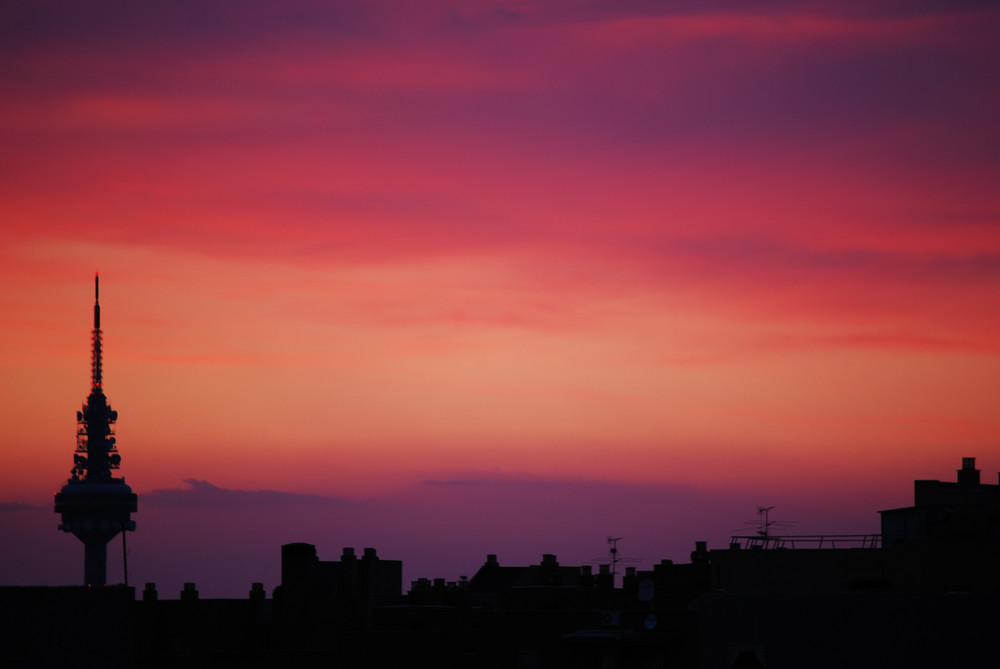 LO QUE VEO DESDE MI VENTANA CADA TARDE