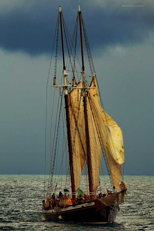 Lo sbarco del re di Napoli