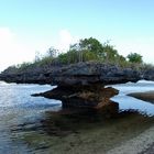 lo scherzo della natura (seychelles)