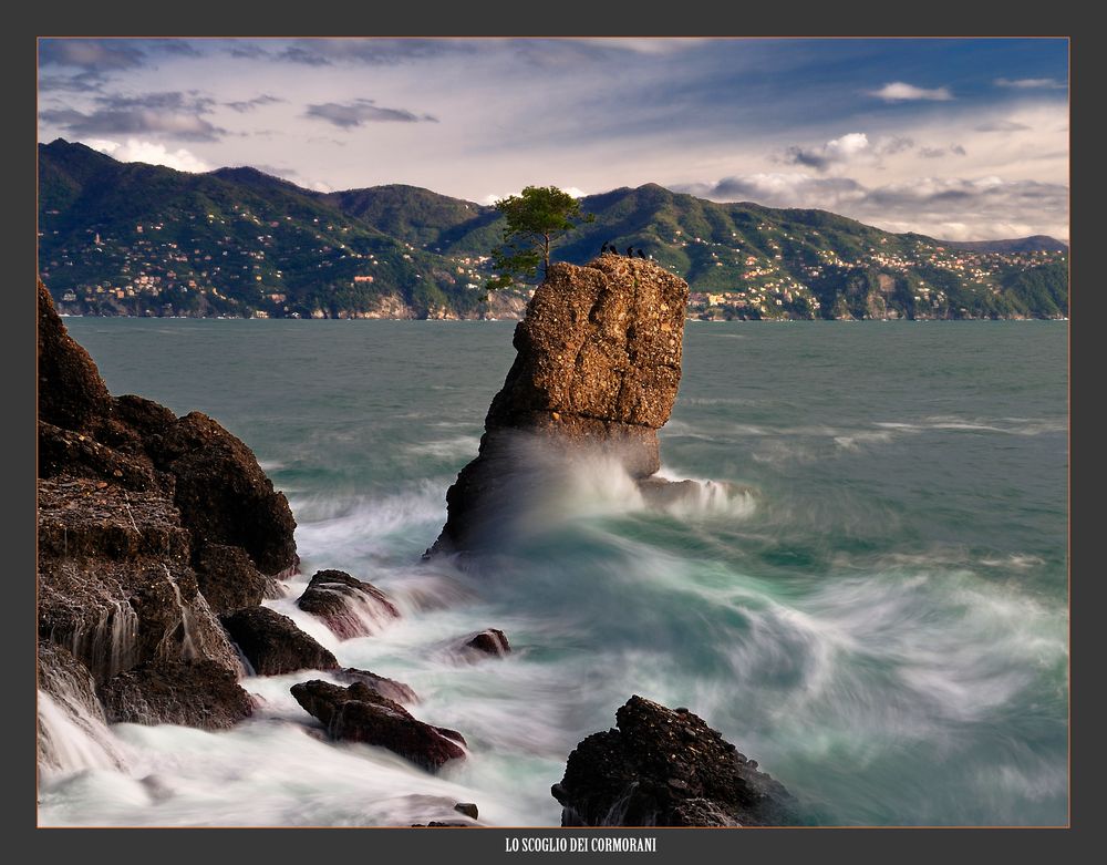 Lo scoglio dei cormorani.