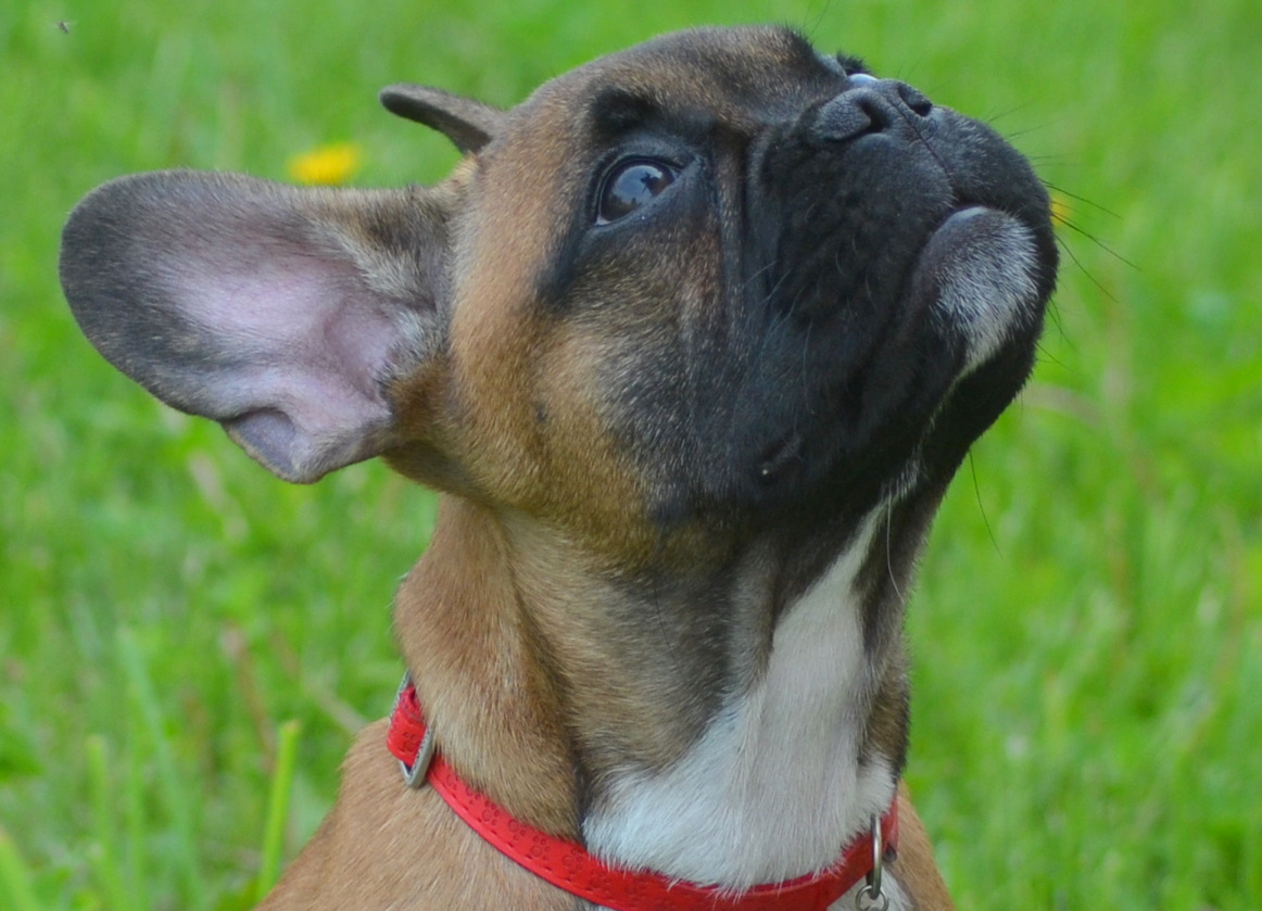 Lo sguardo dell'amore