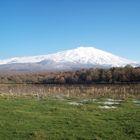 lo spettacolo della natura