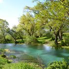 LO SPETTACOLO DELLA NATURA