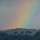 Lo spettro sulla collina