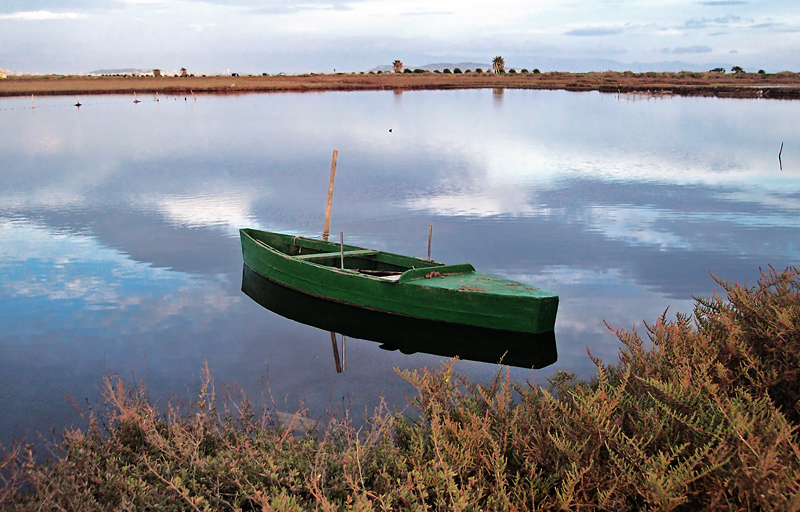 .....lo stagno e i suoi riflessi.....