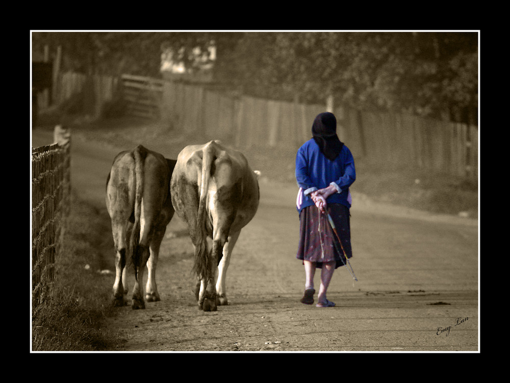 lo struscio nel corso