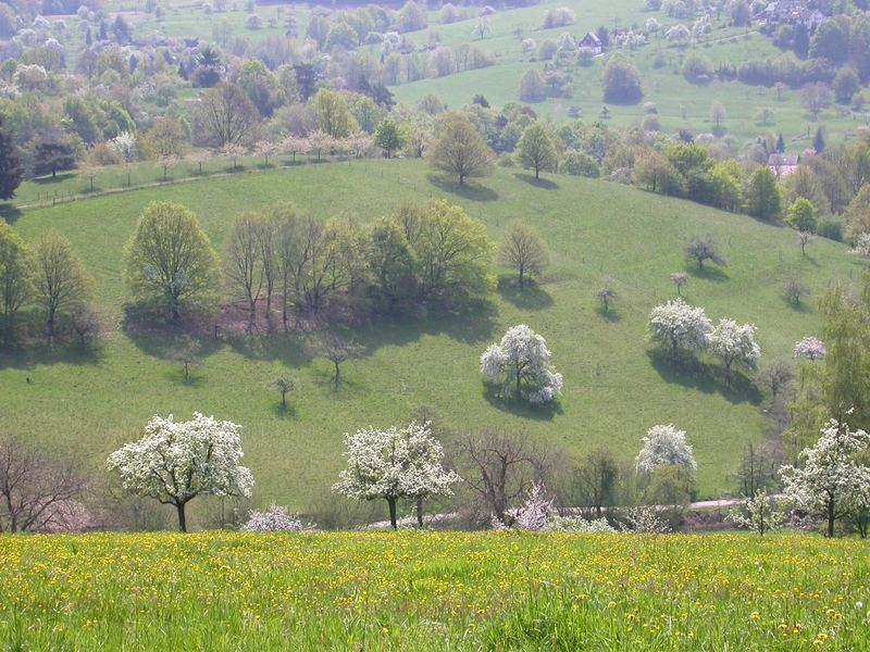 Lob auf den Frühling