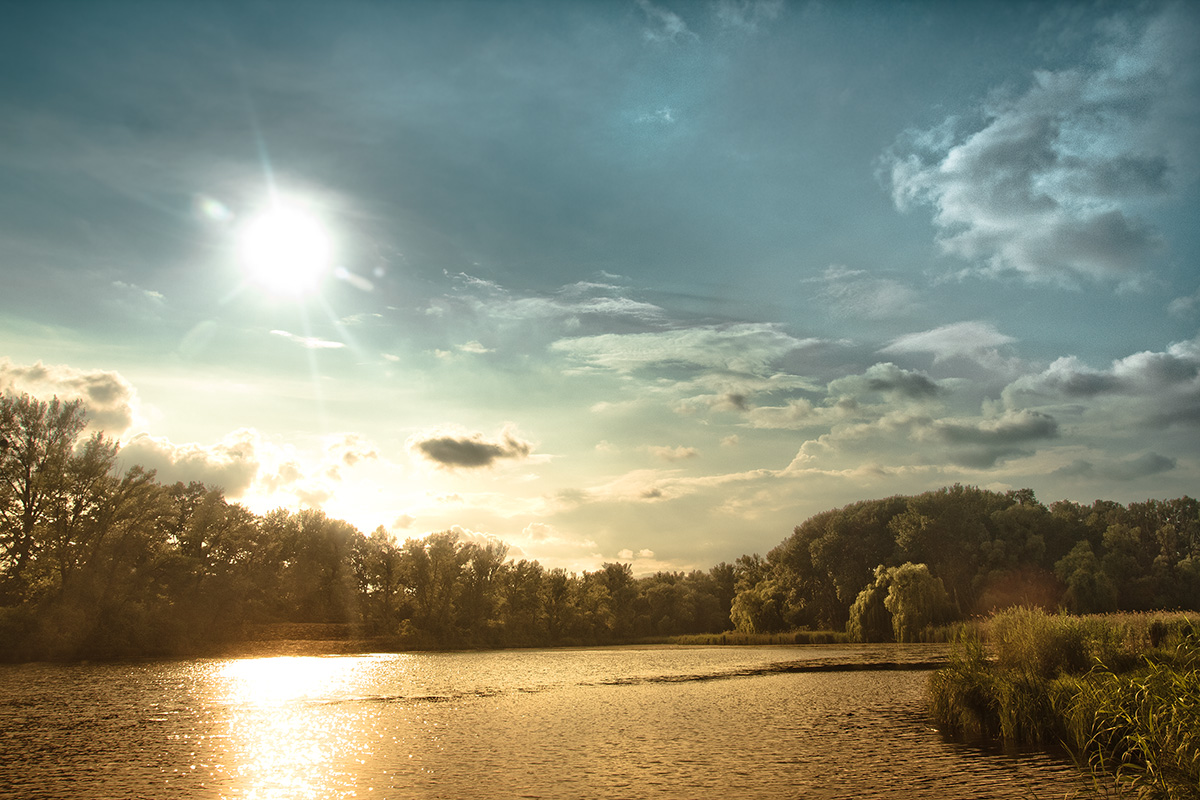 Lobau