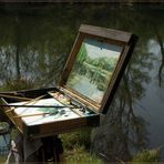 Lobau einer der vielen grünen Lunge von Wien