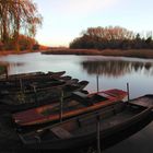 Lobau in Wien