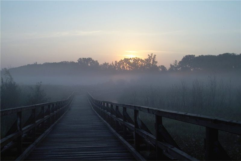 Lobau um 5.30