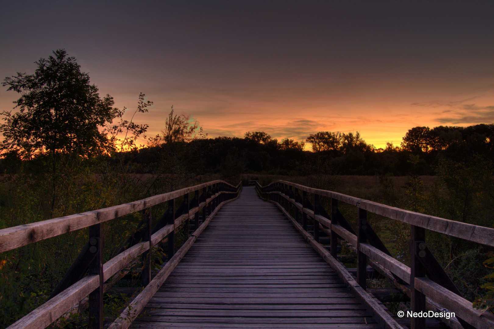 Lobau, Wien beim Sonnenaufgang