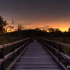 Lobau, Wien beim Sonnenaufgang