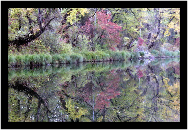 Lobau2(nicht bearbeitet)