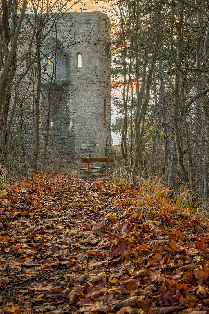 Lobdeburg im Herbst