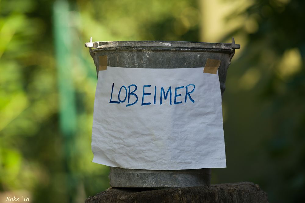 Lobeimer