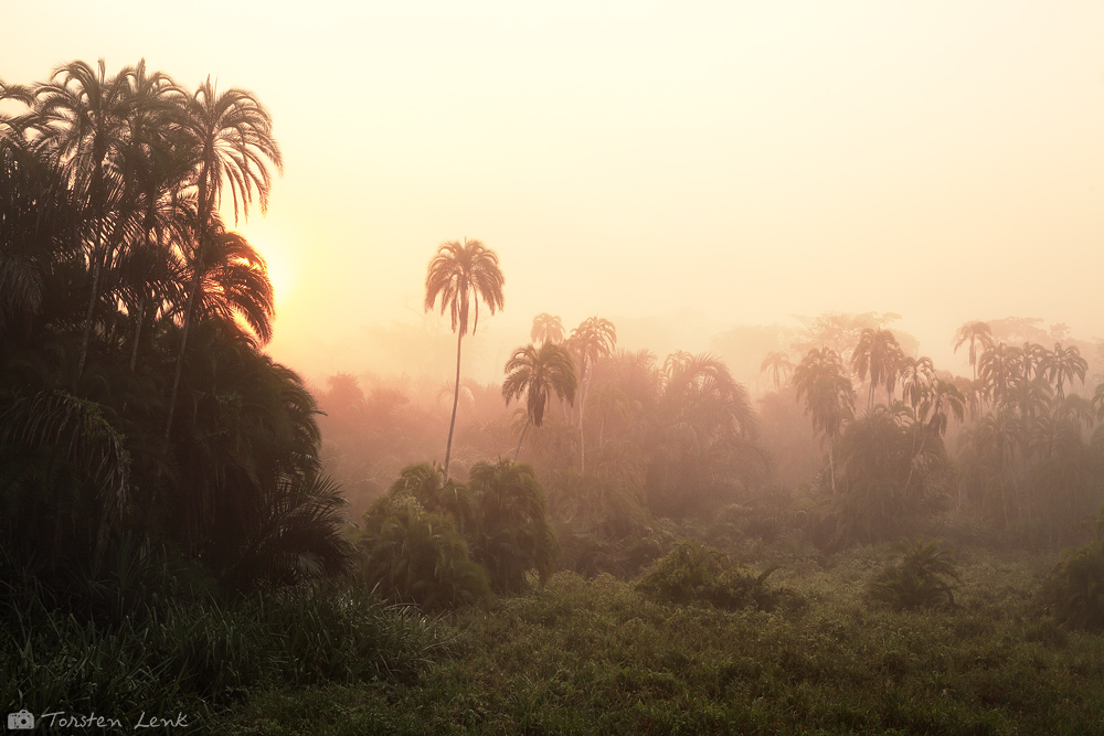 Lobéké-Nationalpark