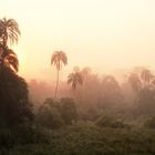 Lobéké-Nationalpark