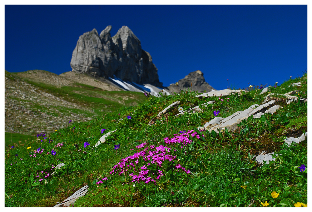 Lobhörner im Hintergrund