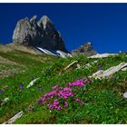 Lobhörner im Hintergrund