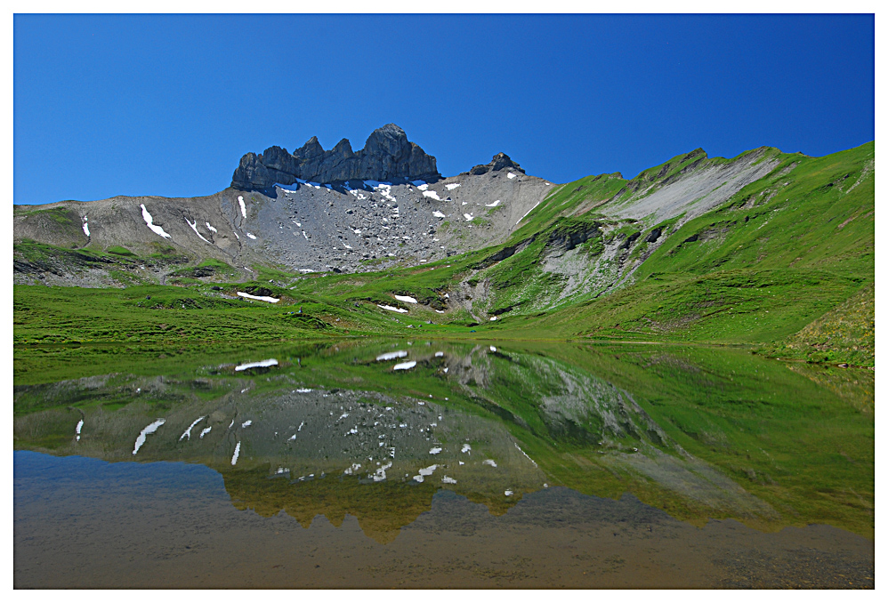 Lobhörner im Spiegelbild