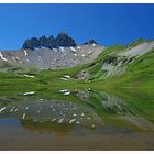 Lobhörner im Spiegelbild