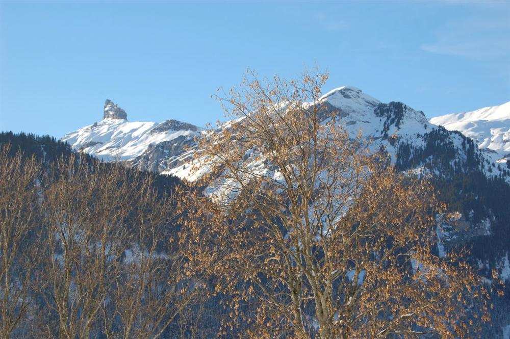 Lobhörner im Winter