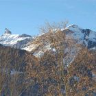 Lobhörner im Winter