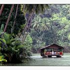 Loboc River - Touristisches  4