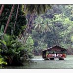 Loboc River - Touristisches  4