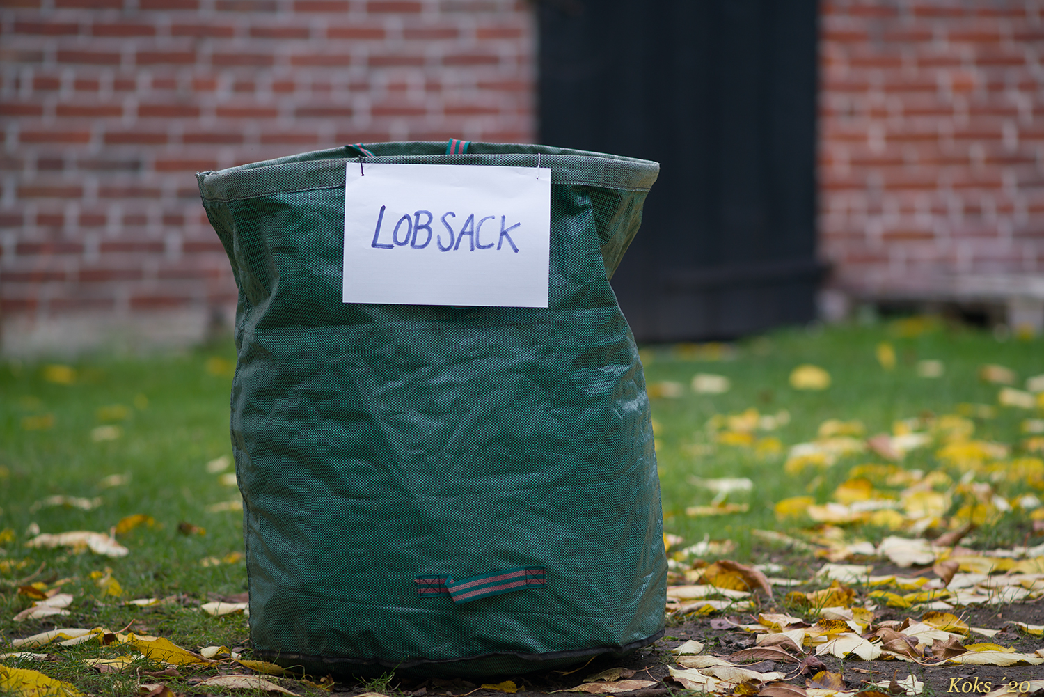 Lobsack