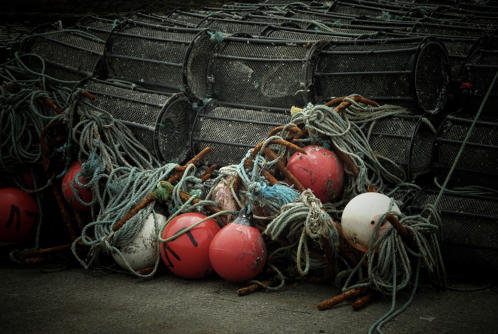 Lobster cages