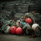 Lobster cages