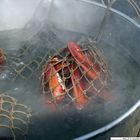 Lobster frisch gekocht