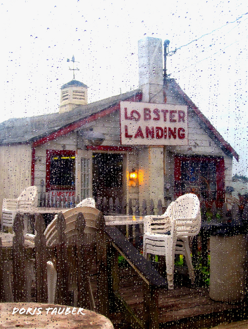 Lobster Landing