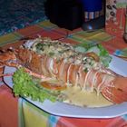 Lobster mit Käse überbacken