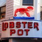 Lobster Pot II