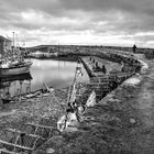 Lobster Pots and Flags