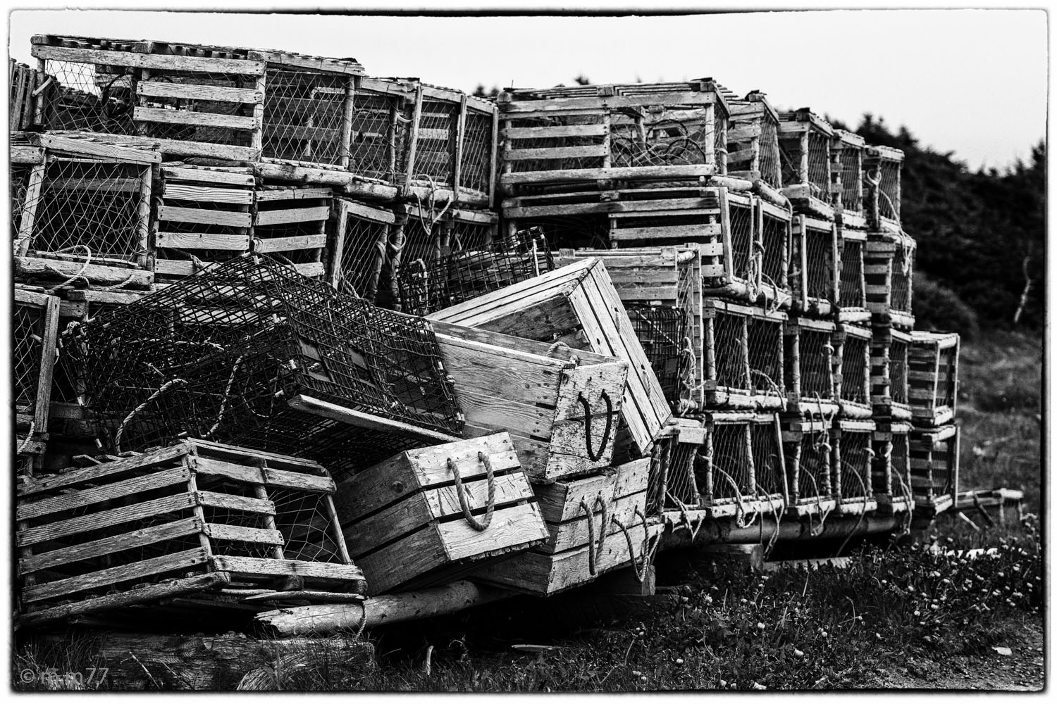 Lobster Traps