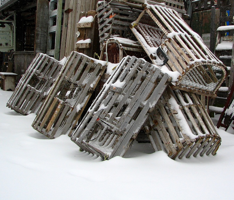 Lobster traps in the snow