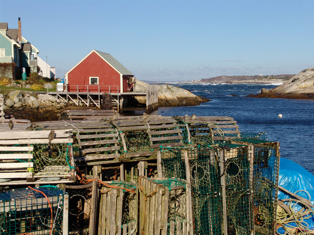 Lobsterfallen in Peggys Cove