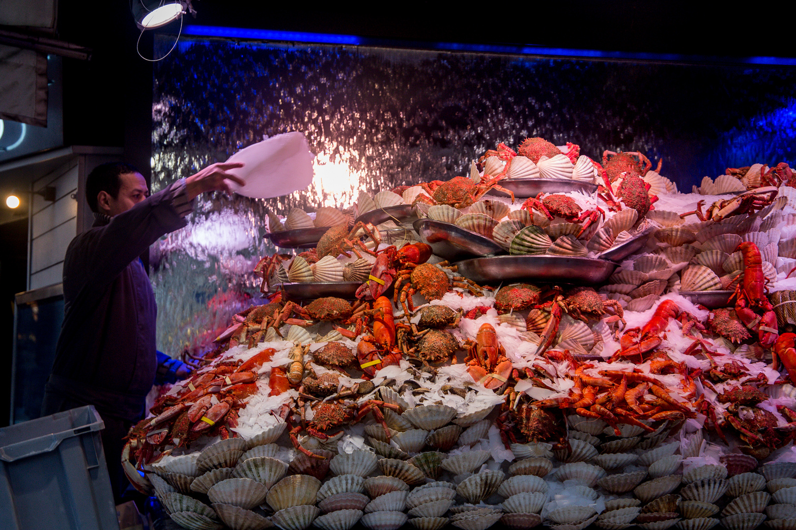 lobsters & co. Foto Immagini notturni, france, paris Foto su