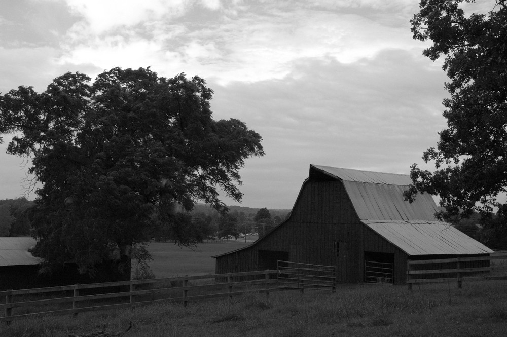 Local Barn