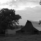 Local Barn