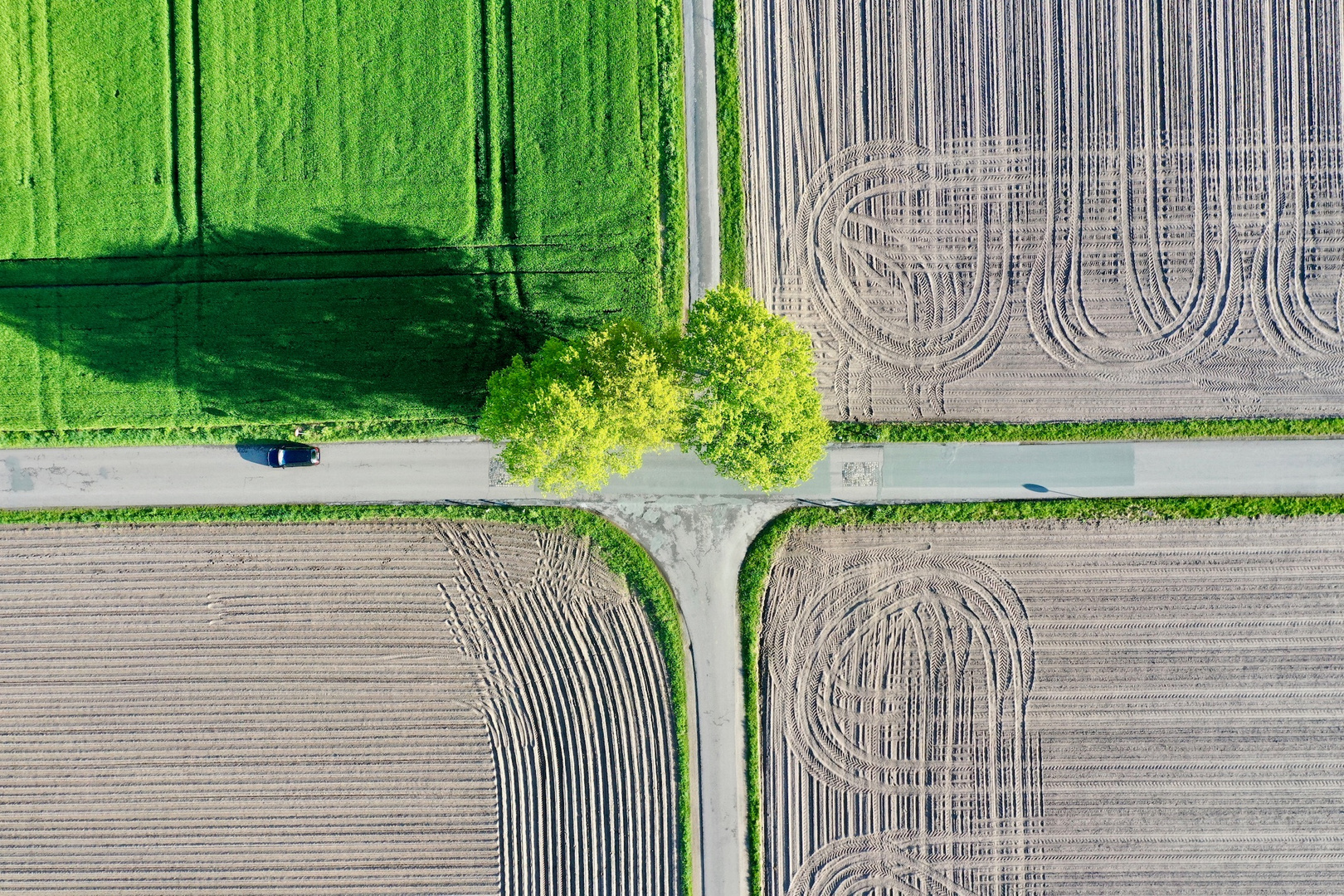 local crossing in Lingen/Ems