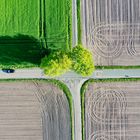 local crossing in Lingen/Ems