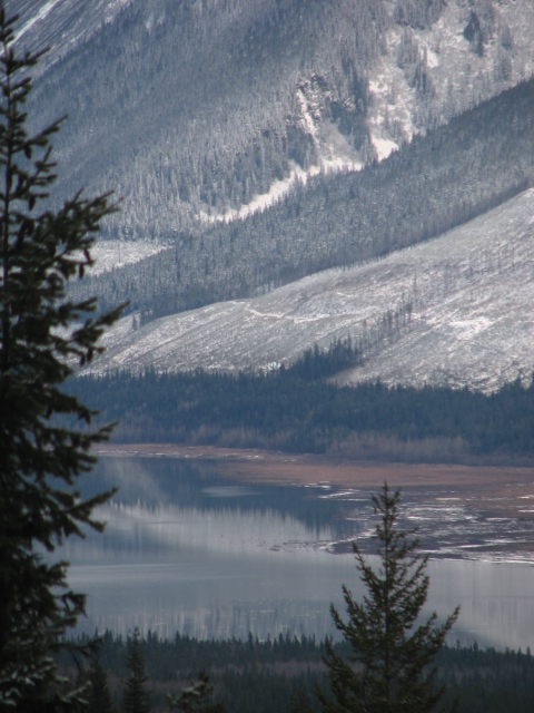 local lake in winter